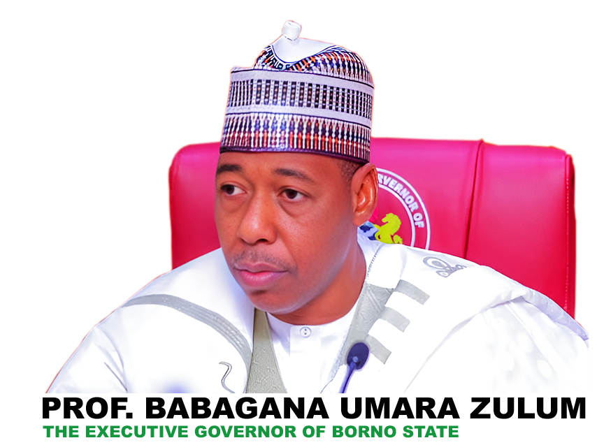 Workshop for MDAs Officials in Borno State on Transformative